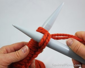 Squirrel Picnic Knit Scarf 11