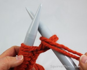 Squirrel Picnic Knit Scarf 12