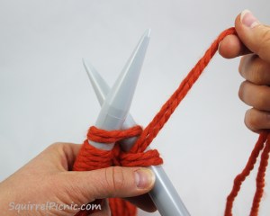 Squirrel Picnic Knit Scarf 13.1