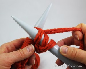 Squirrel Picnic Knit Scarf 13.2