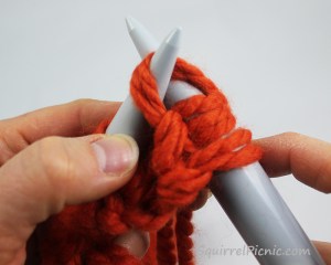 Squirrel Picnic Knit Scarf 16