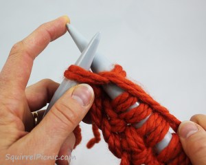 Squirrel Picnic Knit Scarf 18