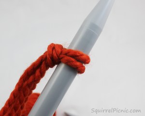 Squirrel Picnic Knit Scarf 4