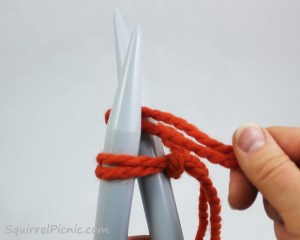 Squirrel Picnic Knit Scarf 6