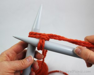 Squirrel Picnic Knit Scarf 7