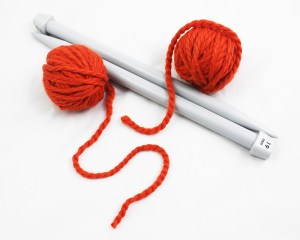 Squirrel Picnic Knit Scarf Materials