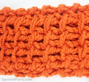 Squirrel Picnic Knit Scarf Stitch Pattern Swatch