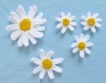 Crochet Daisy