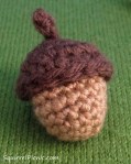 Acorn
