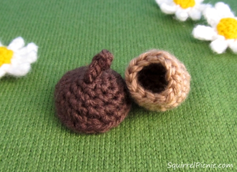 Gift Acorn
