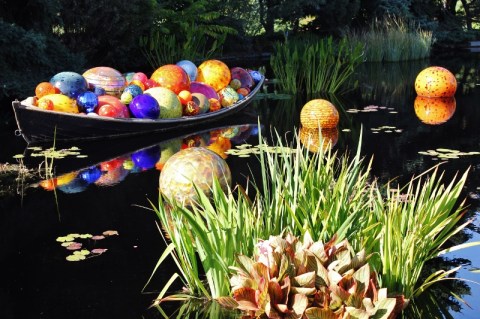 Chihuly Denver Botanic Gardens 2