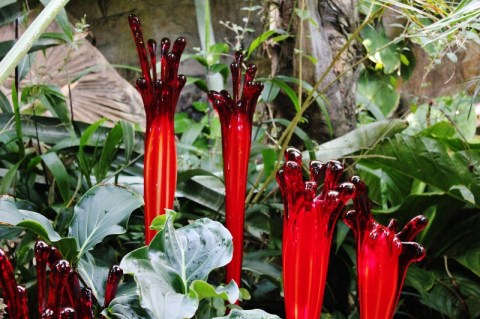 Chihuly Denver Botanic Gardens 3