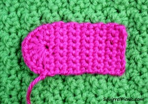 Crochet Purse for Your Squirrel Friend Step 1