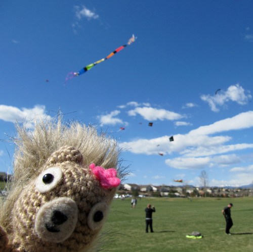 Podge Says Kite Festival