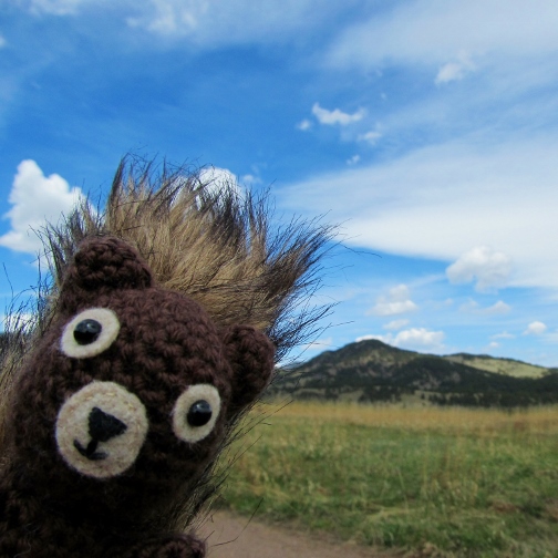 Hodge at White Ranch