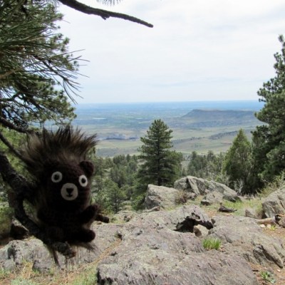 Hodge at White Ranch