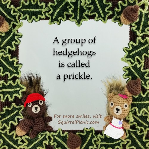 2.15.16 Something to Smile About from Squirrel Picnic