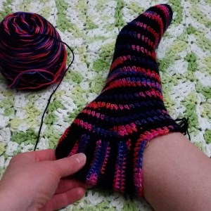 Squirrel Picnic's Year of the Sock February 2