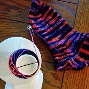 Squirrel Picnic's Year of the Sock February 3
