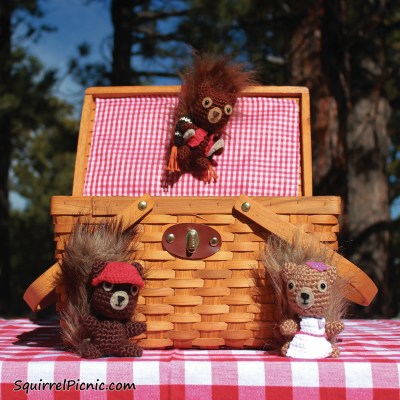 The Big Acorn Race by crochet artist and writer Jennifer Olivarez is a whimsical storybook and crochet pattern book in one!