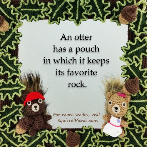 10-10-16-something-to-smile-about-from-squirrel-picnic